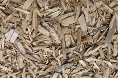 biomass boilers Tregardock